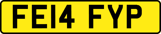 FE14FYP