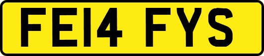 FE14FYS