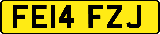 FE14FZJ
