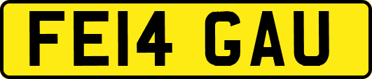FE14GAU