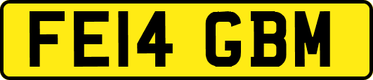 FE14GBM