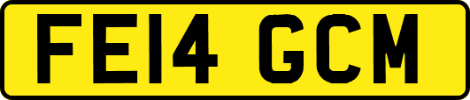 FE14GCM