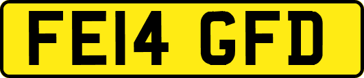 FE14GFD