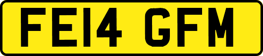 FE14GFM