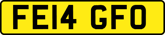 FE14GFO