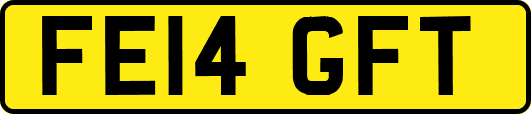 FE14GFT