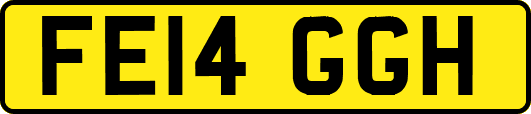 FE14GGH