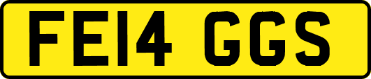 FE14GGS