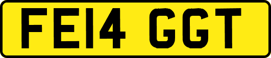 FE14GGT