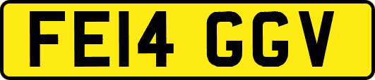 FE14GGV