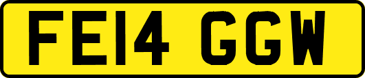 FE14GGW