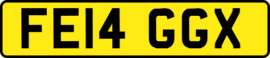 FE14GGX