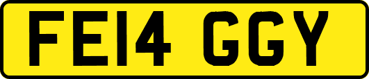 FE14GGY