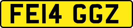 FE14GGZ