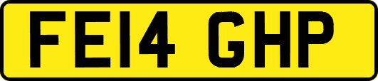FE14GHP