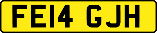 FE14GJH