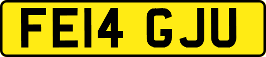 FE14GJU