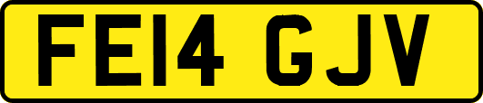 FE14GJV