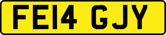 FE14GJY