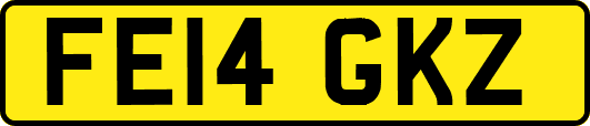 FE14GKZ