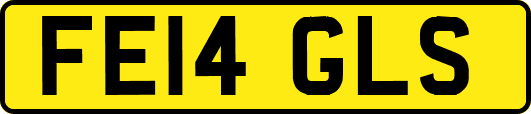 FE14GLS
