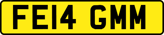 FE14GMM