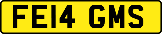 FE14GMS