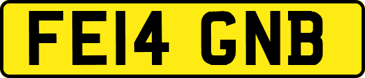 FE14GNB