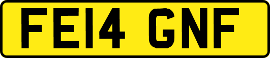 FE14GNF