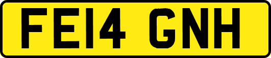 FE14GNH