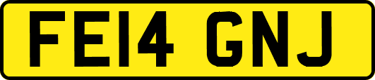 FE14GNJ