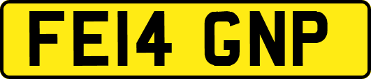 FE14GNP