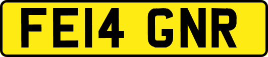 FE14GNR
