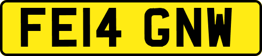 FE14GNW