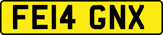 FE14GNX
