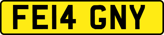 FE14GNY