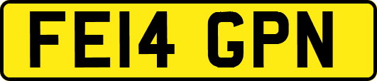 FE14GPN
