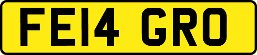 FE14GRO