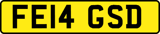 FE14GSD