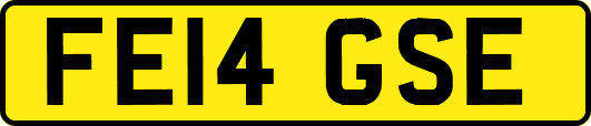 FE14GSE