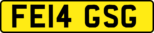 FE14GSG