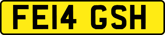 FE14GSH