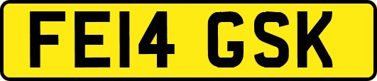 FE14GSK