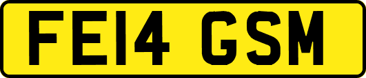 FE14GSM