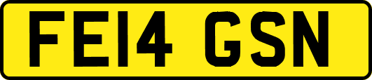 FE14GSN
