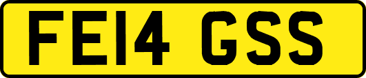 FE14GSS