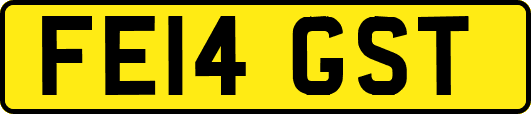 FE14GST