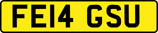 FE14GSU