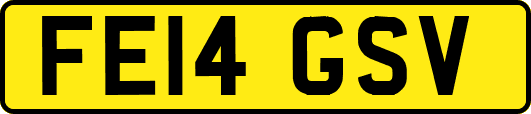 FE14GSV