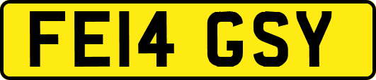 FE14GSY